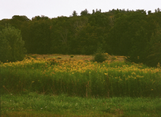 Field Study 2