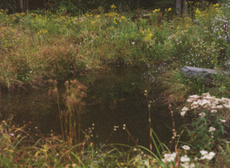 Small Pond