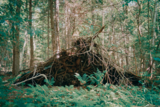 Uproots
